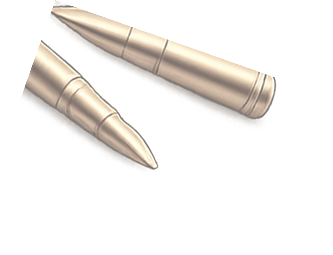Bullets